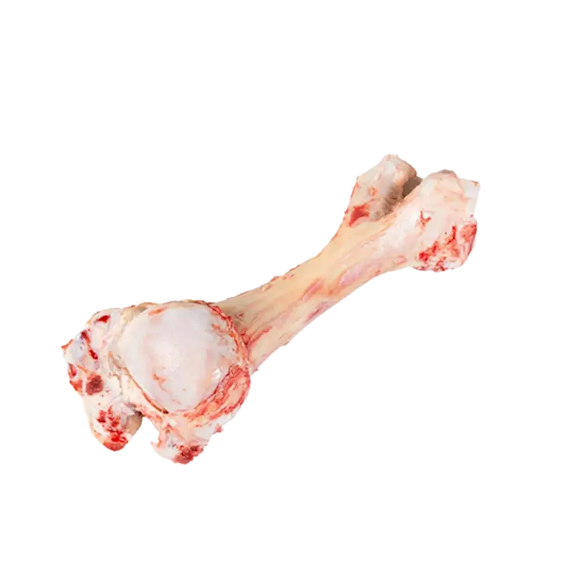 قلم گاو / Rind Füße