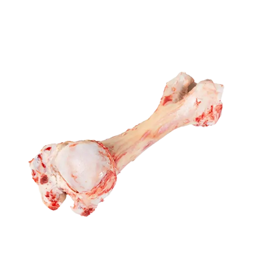 قلم گاو / Rind Füße