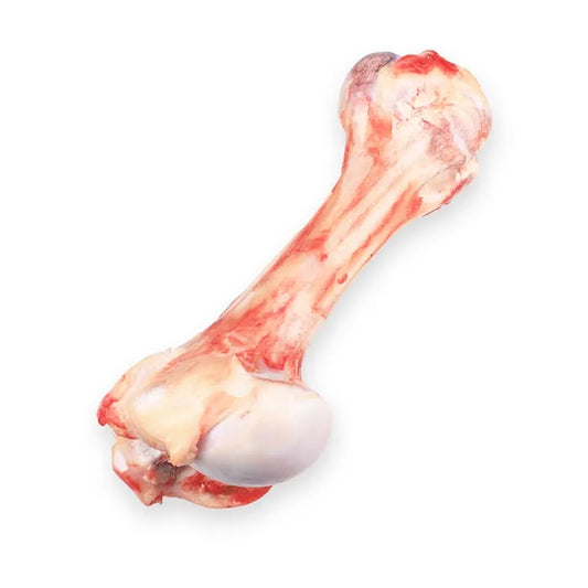 قلم گوساله / Kalb Füße